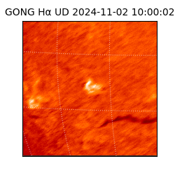 gong - 2024-11-02T10:00:02