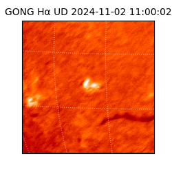 gong - 2024-11-02T11:00:02