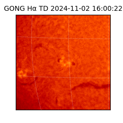 gong - 2024-11-02T16:00:22