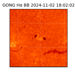 gong - 2024-11-02T18:02:02