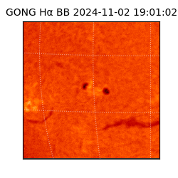 gong - 2024-11-02T19:01:02