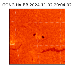 gong - 2024-11-02T20:04:02