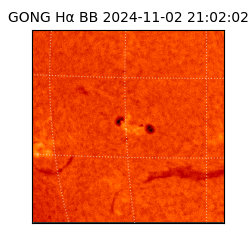 gong - 2024-11-02T21:02:02