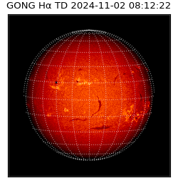 gong - 2024-11-02T08:12:22