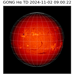 gong - 2024-11-02T09:00:22