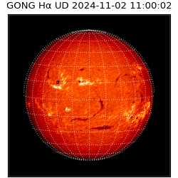 gong - 2024-11-02T11:00:02