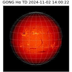 gong - 2024-11-02T14:00:22