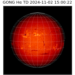 gong - 2024-11-02T15:00:22