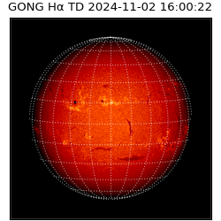 gong - 2024-11-02T16:00:22