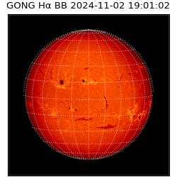 gong - 2024-11-02T19:01:02