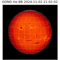 gong - 2024-11-02T21:02:02