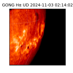 gong - 2024-11-03T02:14:02