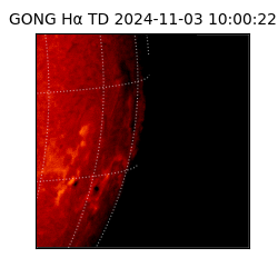 gong - 2024-11-03T10:00:22