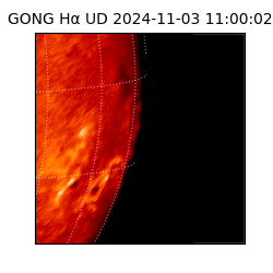 gong - 2024-11-03T11:00:02