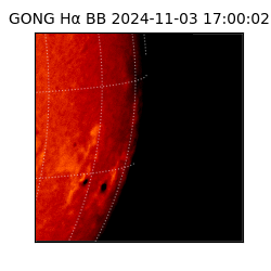 gong - 2024-11-03T17:00:02