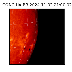 gong - 2024-11-03T21:00:02