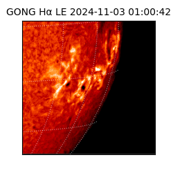 gong - 2024-11-03T01:00:42