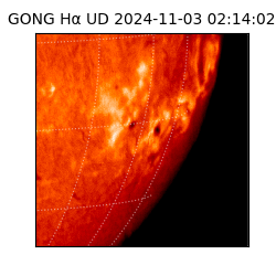 gong - 2024-11-03T02:14:02