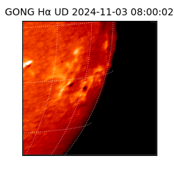 gong - 2024-11-03T08:00:02