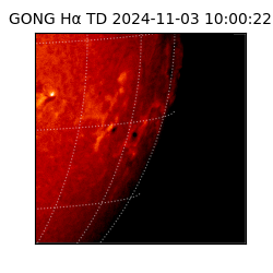 gong - 2024-11-03T10:00:22