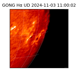 gong - 2024-11-03T11:00:02