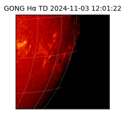 gong - 2024-11-03T12:01:22