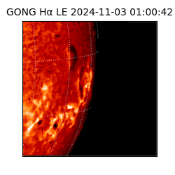 gong - 2024-11-03T01:00:42