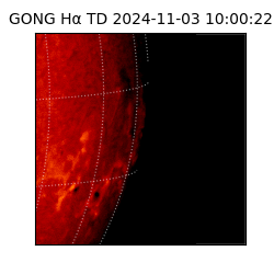 gong - 2024-11-03T10:00:22