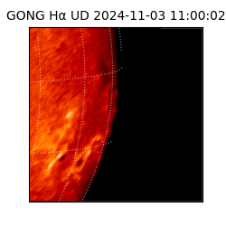 gong - 2024-11-03T11:00:02