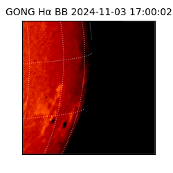 gong - 2024-11-03T17:00:02