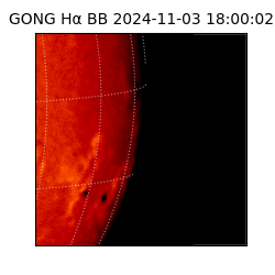 gong - 2024-11-03T18:00:02