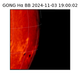 gong - 2024-11-03T19:00:02