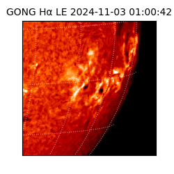 gong - 2024-11-03T01:00:42