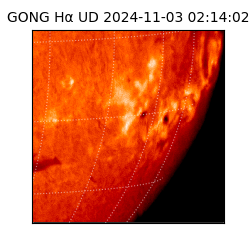 gong - 2024-11-03T02:14:02