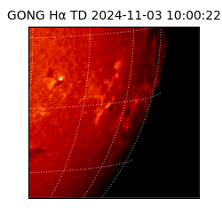 gong - 2024-11-03T10:00:22