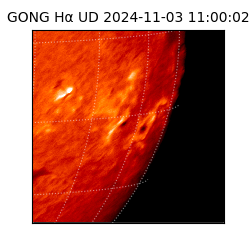 gong - 2024-11-03T11:00:02