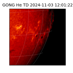 gong - 2024-11-03T12:01:22