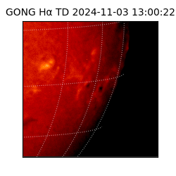 gong - 2024-11-03T13:00:22