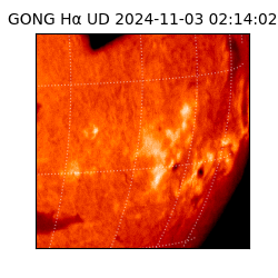 gong - 2024-11-03T02:14:02