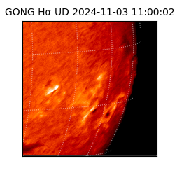 gong - 2024-11-03T11:00:02
