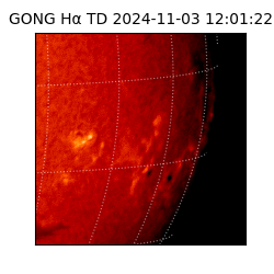 gong - 2024-11-03T12:01:22