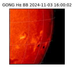 gong - 2024-11-03T16:00:02
