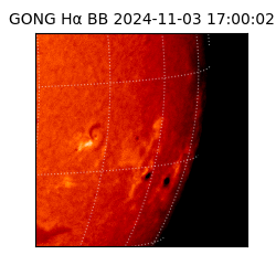 gong - 2024-11-03T17:00:02