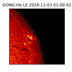 gong - 2024-11-03T01:00:42