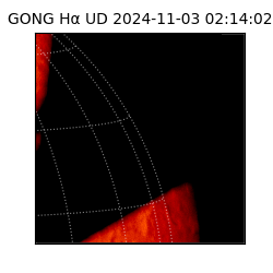 gong - 2024-11-03T02:14:02