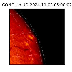 gong - 2024-11-03T05:00:02