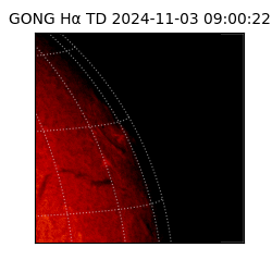 gong - 2024-11-03T09:00:22