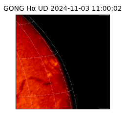 gong - 2024-11-03T11:00:02