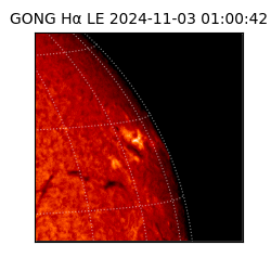 gong - 2024-11-03T01:00:42