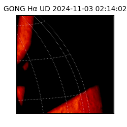 gong - 2024-11-03T02:14:02